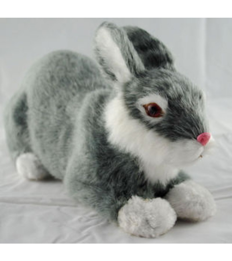 Model кролик
