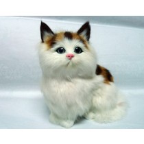 Model кошка